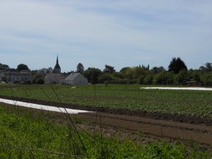 Ferme de la Touche - Chitenay - Le Clan des Sens